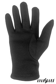Pánské zimní rukavice 971-23