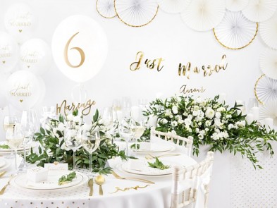 Kulatý ubrus bílý,  průměr 300 cm 731190860