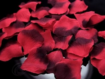 Plátky růží  červené s bordó, 100ks v balení