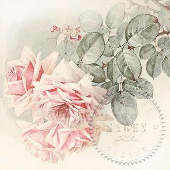 Ubrousky Sagen &quot;Summer Roses&quot;, 20 ks 731301102