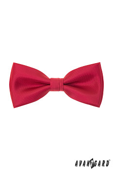 Motýlek s kapesníčkem 575-9953