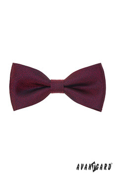 Motýlek s kapesníčkem 575-22396