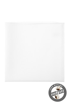 Kapesníček do saka LUX 583-5149