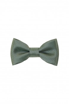 Motýlek MINI 531-22525