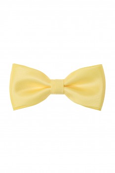 Motýlek s kapesníčkem 575-9929