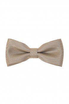 Motýlek s kapesníčkem 575-81497