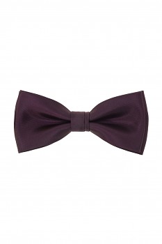 Motýlek s kapesníčkem 575-9954