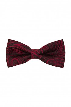 Motýlek s kapesníčkem 575-22626