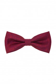 Motýlek s kapesníčkem 575-22606