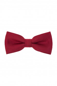 Motýlek s kapesníčkem 575-22627