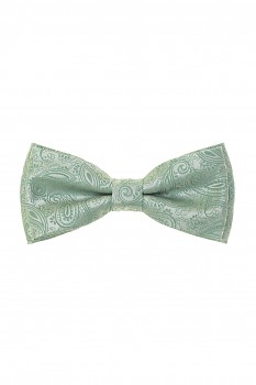 Motýlek s kapesníčkem 575-22609