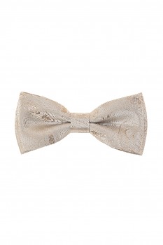 Motýlek s kapesníčkem 575-9358