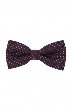 Motýlek s kapesníčkem 575-22631