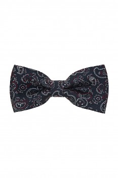 Motýlek s kapesníčkem 575-22630