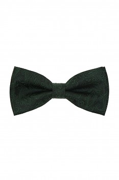 Motýlek s kapesníčkem 575-22607