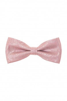 Motýlek s kapesníčkem 575-22610