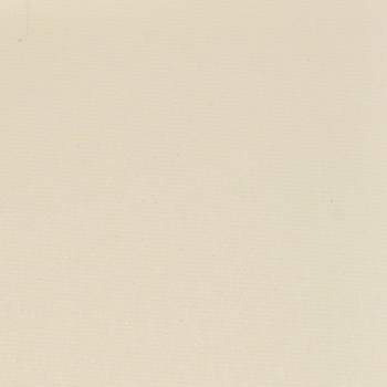 Papírová prostírka 35*40cm, krémová, 250ks 731229385